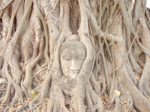 AyuthayaRemains3.JPG - �O��̂��Ζ�