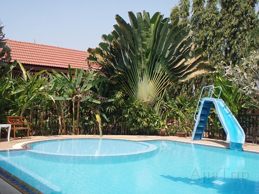 FreePool.JPG - ���K�v�[��