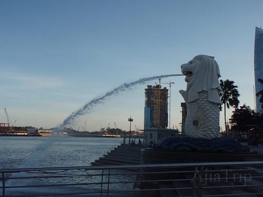 lion.JPG - �}�[���C�I���@�C����f���o���A���Ԃ���������ς�